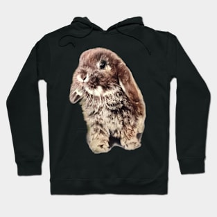 Who can resist a baby bunny? Hoodie